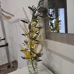 La Casa De La Mimosa Appartement