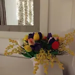 La Casa De La Mimosa * Córdoba
